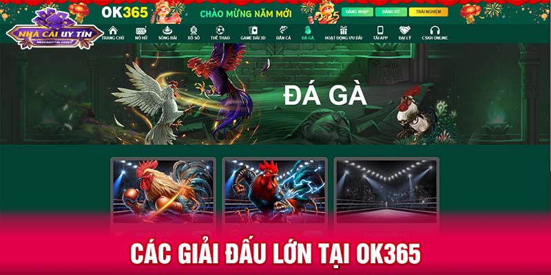 Các giải đấu lớn tại OK365