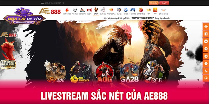Livestream sắc nét của AE888