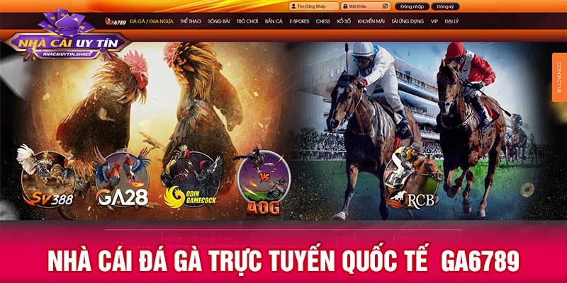 Nhà cái đá gà trực tuyến quốc tế GA6789